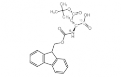 Fmoc-Asp(OtBu)-OH CAS号：12174