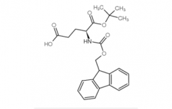 Fmoc-Glu-OtBu CAS号：84793-07-