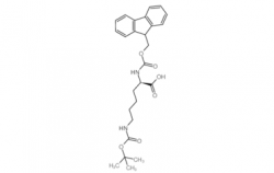 Fmoc-D-Lys(Boc)-OH CAS号：9212