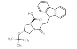 Fmoc-Hyp(tBu)-OH CAS号：122996