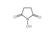 N-Hydroxysuccinimide CAS号： 6