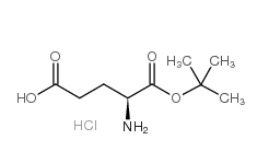 拉萨H-Glu-OtBu