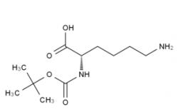 Boc-Lys-OH