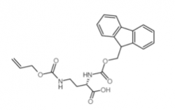 Fmoc-Dab(Alloc)-OH CAS No.: 204316-32-5