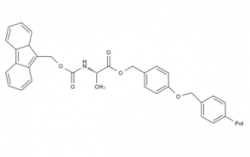 张家界Fmoc-Ala-Wang resin