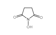 N-Hydroxysuccinimide CAS No.: 