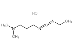 EDC·HCl  CAS No. : 25952-53-8