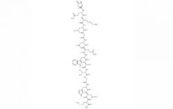 临海(Lys3)-Bombesin