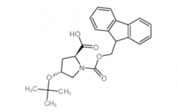 滨州Fmoc-Hyp(tBu)-OH