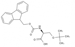 Fmoc-Ser(tBu)-OH  CAS No.: 71989-33-8