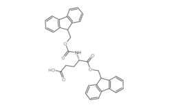 Fmoc-Glu-OFM CAS号：200616-18-8