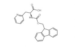 Fmoc-3-(2-Pyridyl)-Alanine CAS