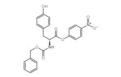 彭州Z-Tyr-ONp  CAS No.: 3556-56-7