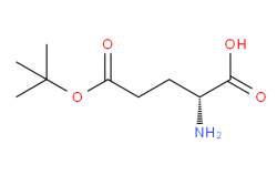 丹东H-Glu(OtBu)-OH CAS No.: 2419-56-9