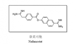 奎屯萘莫司他（Nafamostat）